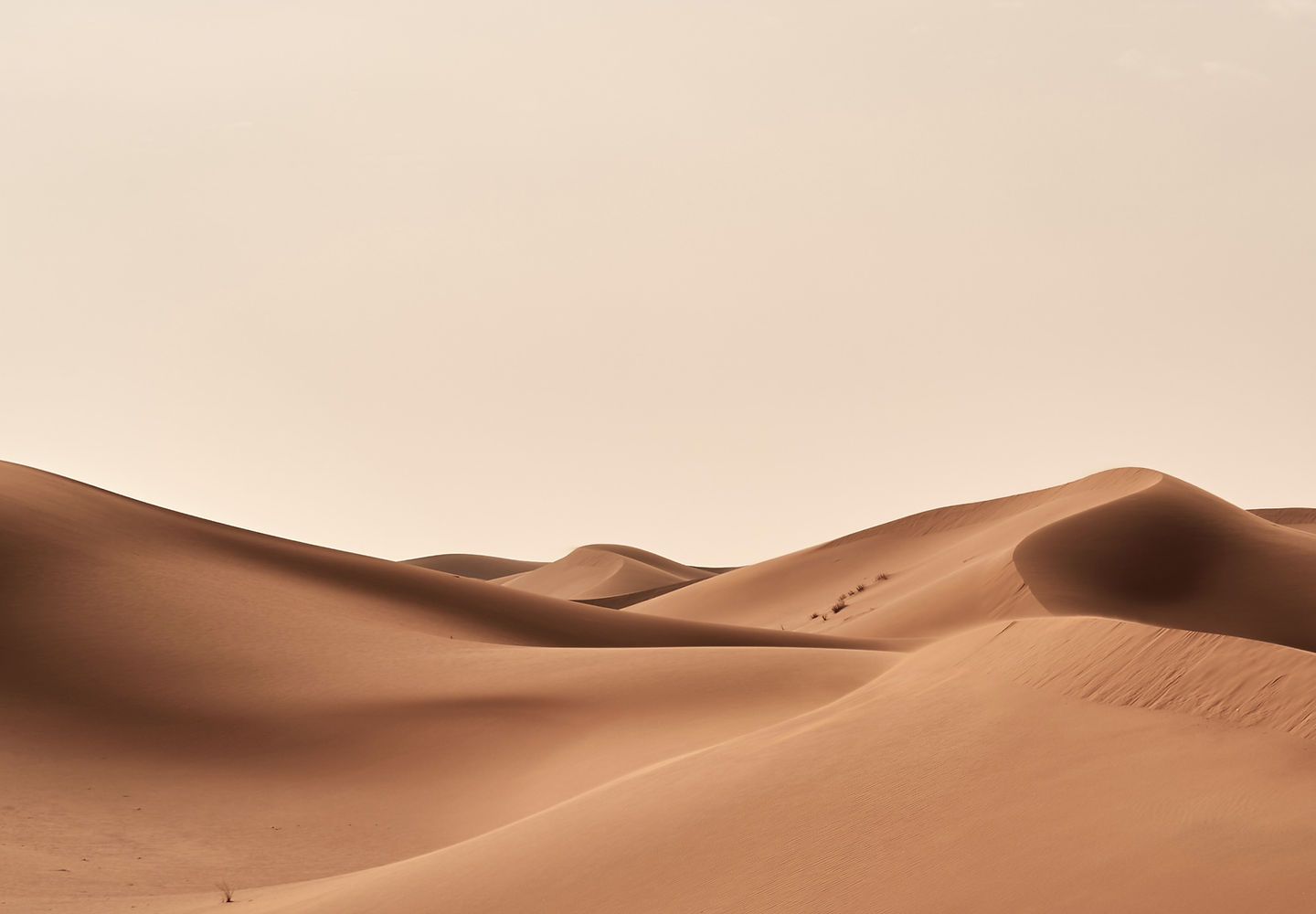 مشروع اختبار