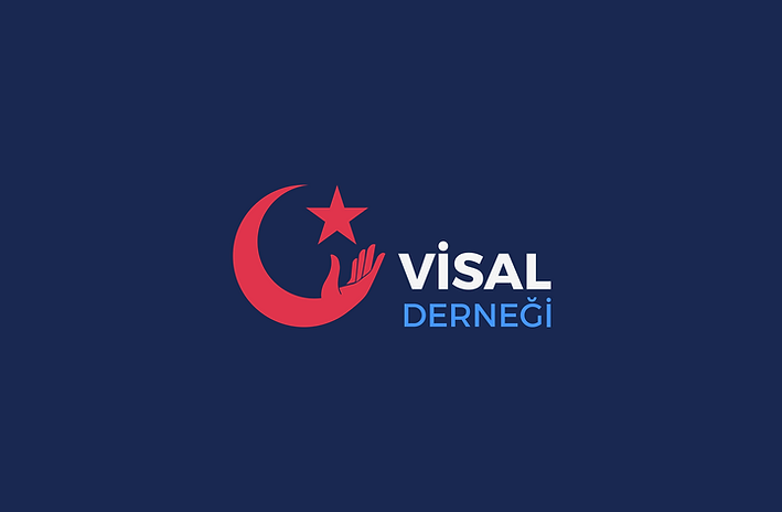 VISAL | NGO Branding | Turkey Identity Integration | Fast-track Visual System