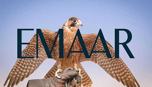 EMAAR Systems Rebranding – Construction, Identity, and Heritage Reimagined