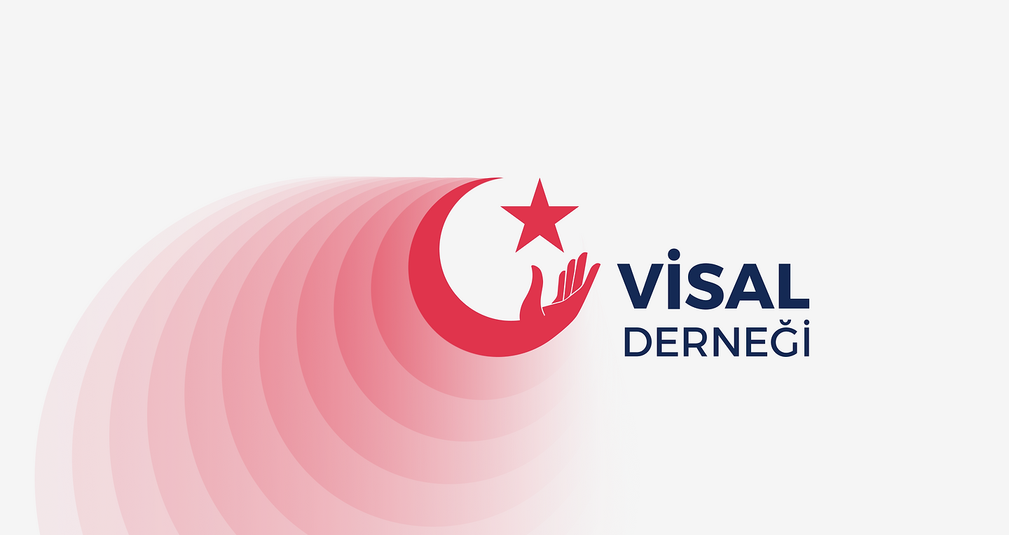 VISAL | NGO Branding | Turkey Identity Integration | Fast-track Visual System