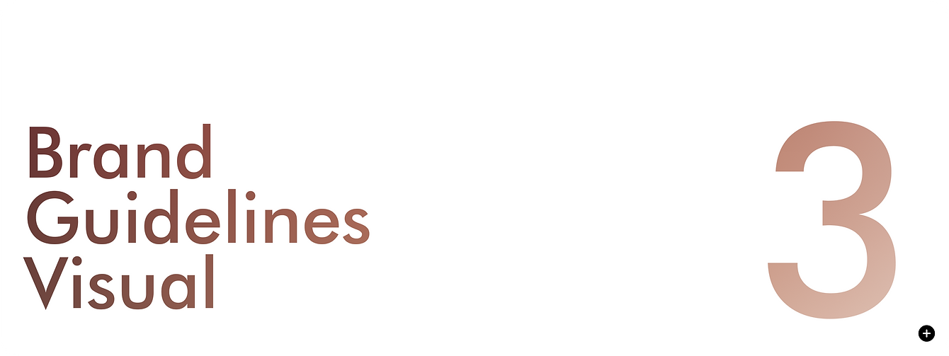 Define the visual rules for brand consistency.