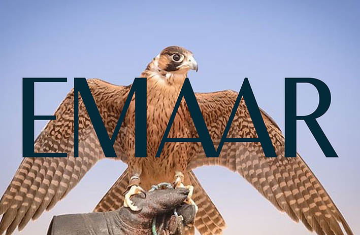 EMAAR Systems Rebranding – Construction, Identity, and Heritage Reimagined